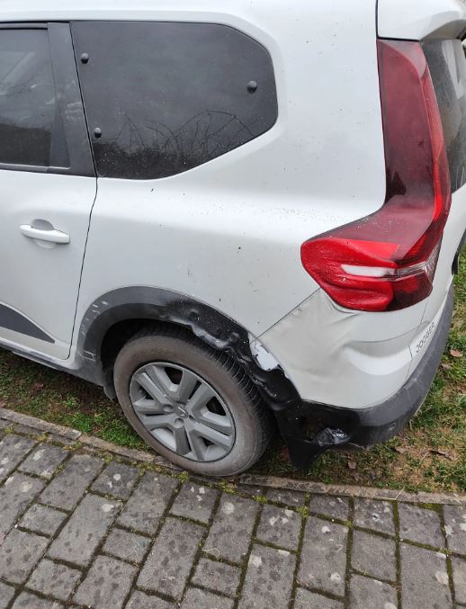 pozar centerzasocialnodelo1