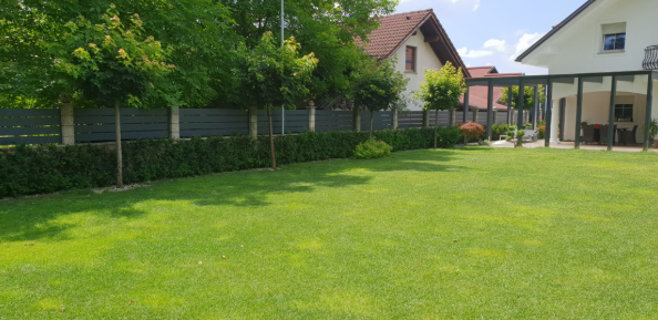 negovanje-trave.jpeg