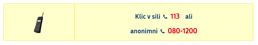 vandal-slika-policija.jpeg
