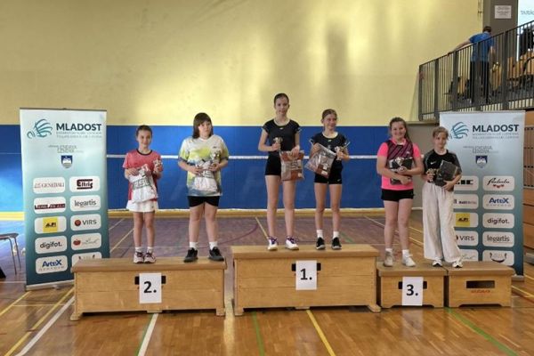 badminton-pisece-245CD355E-847E-4397-D7F6-3E460B0C884E.jpg