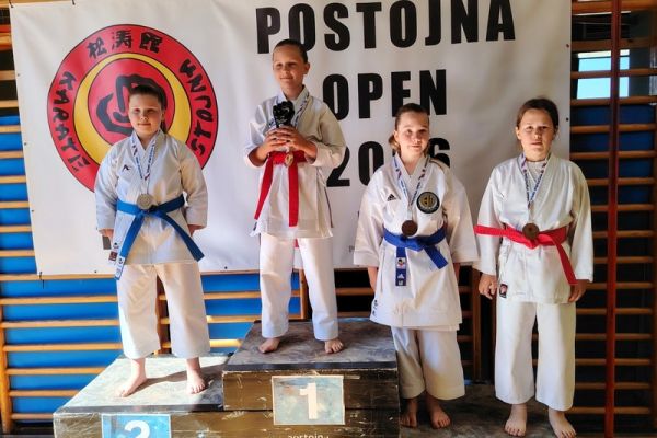 soltec-brezice-karate-043948250D-DDC5-B23B-F18C-D8F0E7F6AA90.jpg