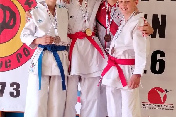 soltec-brezice-karate-095665563C-8051-F183-D012-7B0F3077A9D6.jpg
