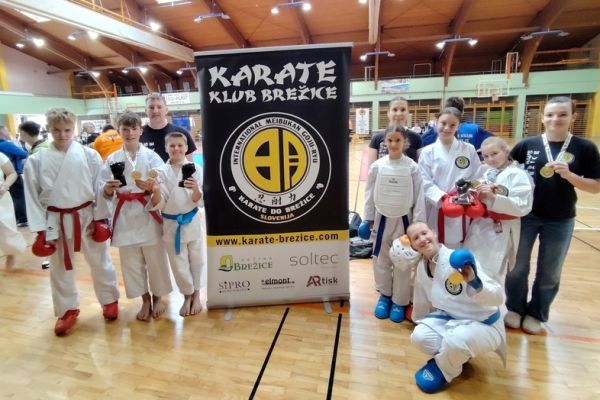 soltec-brezice-karate-10050F3FDA-63B9-5EC9-9838-E619CCA085D7.jpg