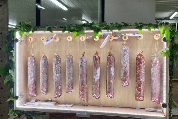 salame-2222A5B8BB-D782-85CC-7A61-8A66826BCBB3.jpg