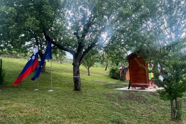 cebeljnak-senovo-295B55103-EE31-1B93-C37B-B4521D4C5E77.jpg