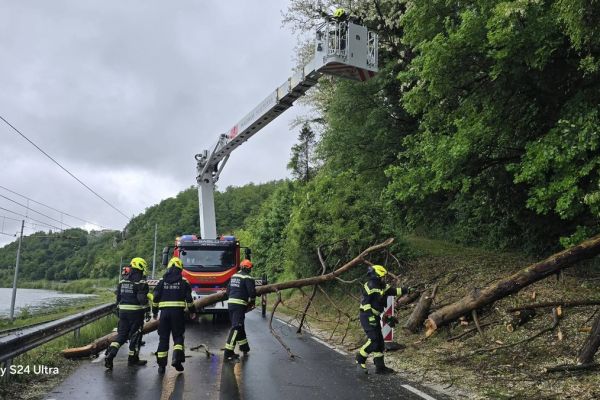 neurje-sevnica-024195B244-66E1-54AB-AF6A-2B317D2888B1.jpg