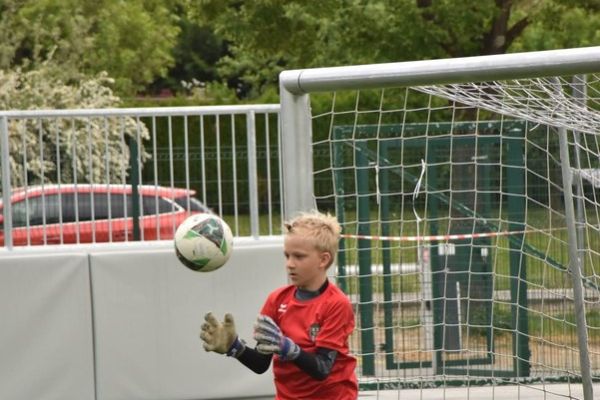 nk-posavje-2017-01D2AC3365-4C61-CA1D-469B-FADFA54F285A.jpg