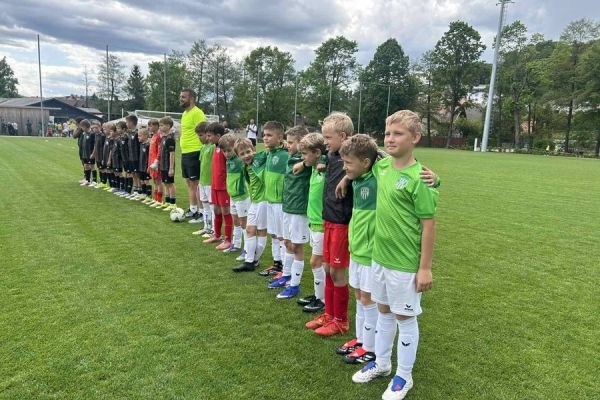 nk-posavje-2017-06B23B7D66-C5EA-9098-BE6B-071D714F2012.jpg