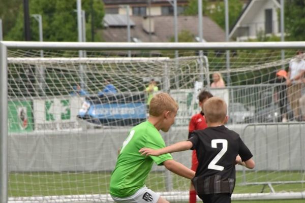 nk-posavje-2017-087CC837AD-6E60-17EB-6D2E-AFC75AA44E0B.jpg