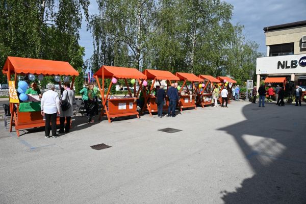 mini-parada-ucenja-sevnica-2026-0995A65E2E-33B0-0C1B-4D3A-68D1C9F79637.jpg