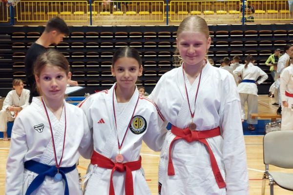 kk-brezice-tekmvnj-02BAB85017-2A9C-F2AA-A2AE-47496291054E.jpg