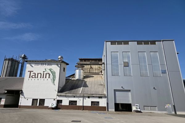 dan-odprtih-vrat-tanin-2026-09B3B278EB-7E12-98C8-F191-E7DF04DFBA24.jpg