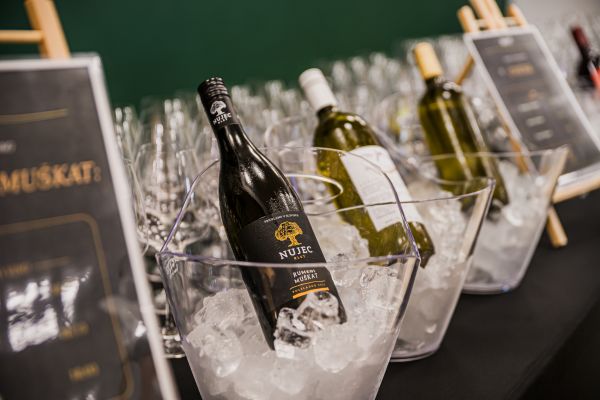 podelitev-vino-kruh-in-potica-maj26-257F58C6FC-0250-AD30-6C9E-B70E9B4B18C3.jpg