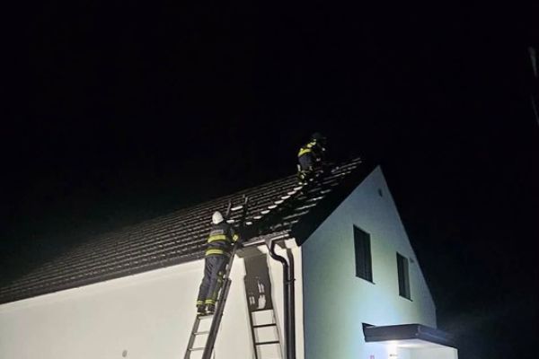 neurje-brezice-28285DEBC-0192-ABAE-8129-FC2CCEE5D8CF.jpg