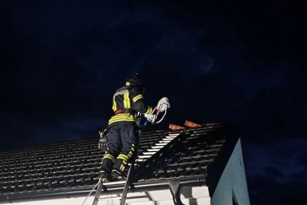neurje-breziceD1B0E56F-5B41-DBDA-50B0-4E6148D517D1.jpg