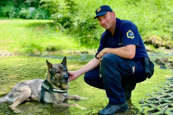 policija-svetuje-zivali-2A807950E-BDB2-A688-8C2B-EB1C277D24AC.webp