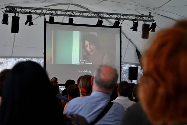 festival-filma-brezice-10030CD8D0-FB94-DAF3-0591-6996910114F1.webp