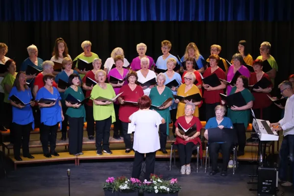 5-koncert-leskovskih-lastovk-0147D605FB-BD0D-07DE-470F-85B86AC42202.webp