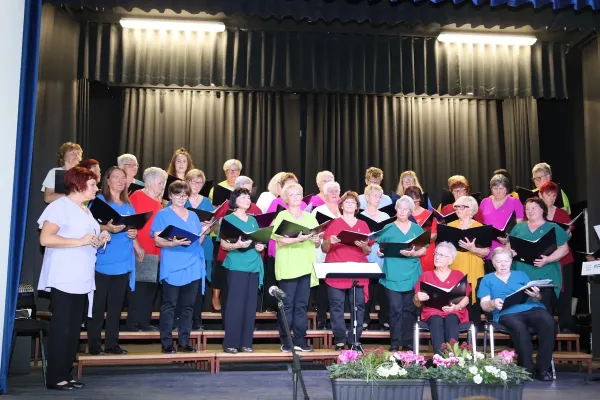 5-koncert-leskovskih-lastovk-05299C519C-DCAD-ACFE-3463-9FCBA9153532.webp