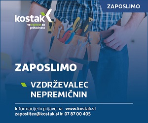 Kostak-vzdrzevalec- nepremicnin