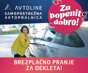 avtoline-dan-zena