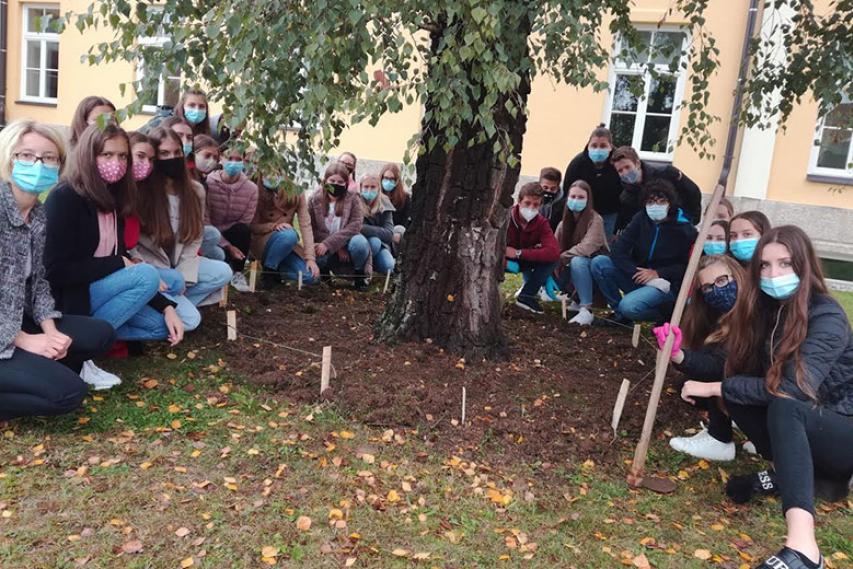 Projekt sajenja rumenih žafranov na Gimnaziji Brežice