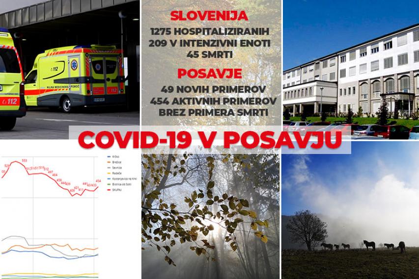 COVID-19 v Posavju, 17. november 2020