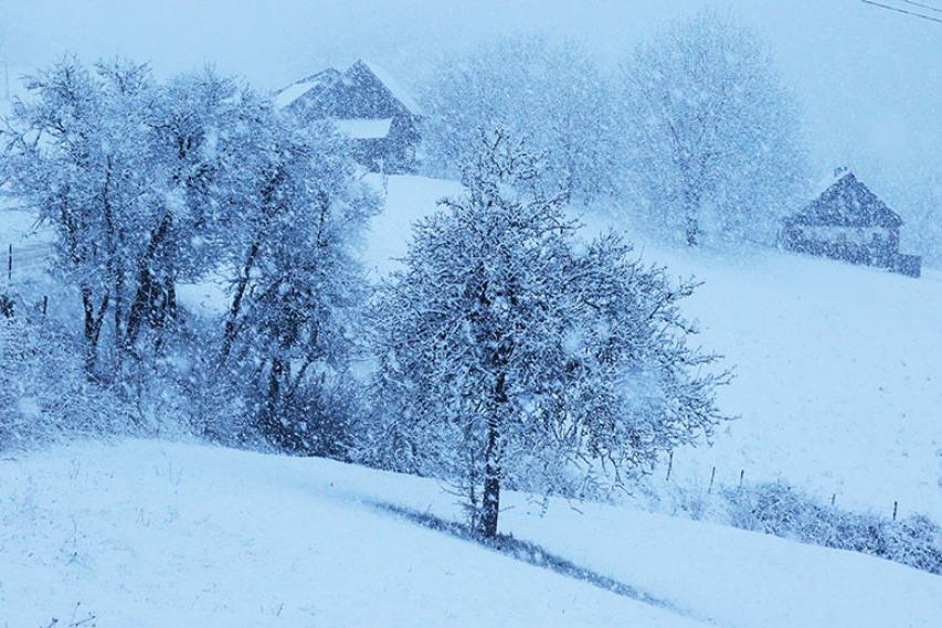 Sneg na Bučerci, marec 2020